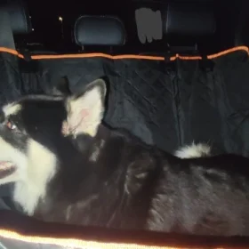 Car Dog Hammock “Travel Buddy Mk. II” Owleys photo review