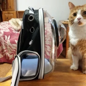 Luxury Cat Space Capsule Transparent Backpack photo review