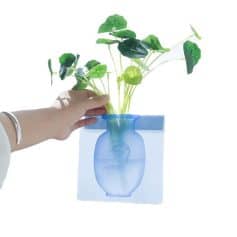 Bright green indoor plants in blue vase emphasizing vision care and eye health products.