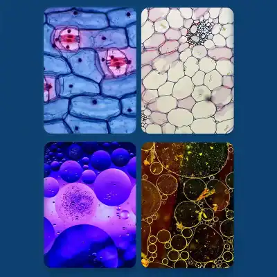 Close-up of colorful oil bubbles in water, showcasing textured, vibrant, and abstract patterns perfect for optometry and eye care backgrounds.