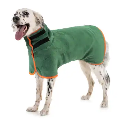 A playful Dalmatian dog wearing a cozy green waterproof coat with orange trim, perfect for outdoor walks in cooler weather, available at Monalisa Store for pet comfort and style.