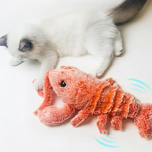 Adorable kitten playing with a soft plush lobster toy, promoting eye comfort and relaxation. Perfect for optical health, eye care, and vision relief products.