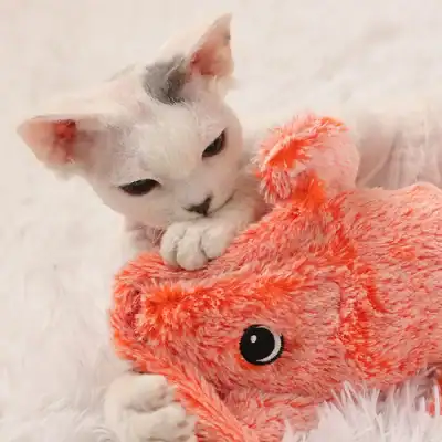 Adorable white kitten engaging with a soft, plush orange elephant toy, perfect for pet lovers and children. Visit Monalisa Medical for quality pet and children's toys.