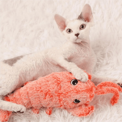 Cute white kitten playing with plush orange mouse toy, adorable pet, indoor home, furry background, feline, playful cat, pet accessory, Monalisa Store, optical accessories for pets, pet comfort, playful indoor pet.