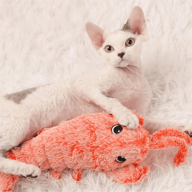Cute white kitten playing with plush orange mouse toy, adorable pet, indoor home, furry background, feline, playful cat, pet accessory, Monalisa Store, optical accessories for pets, pet comfort, playful indoor pet.