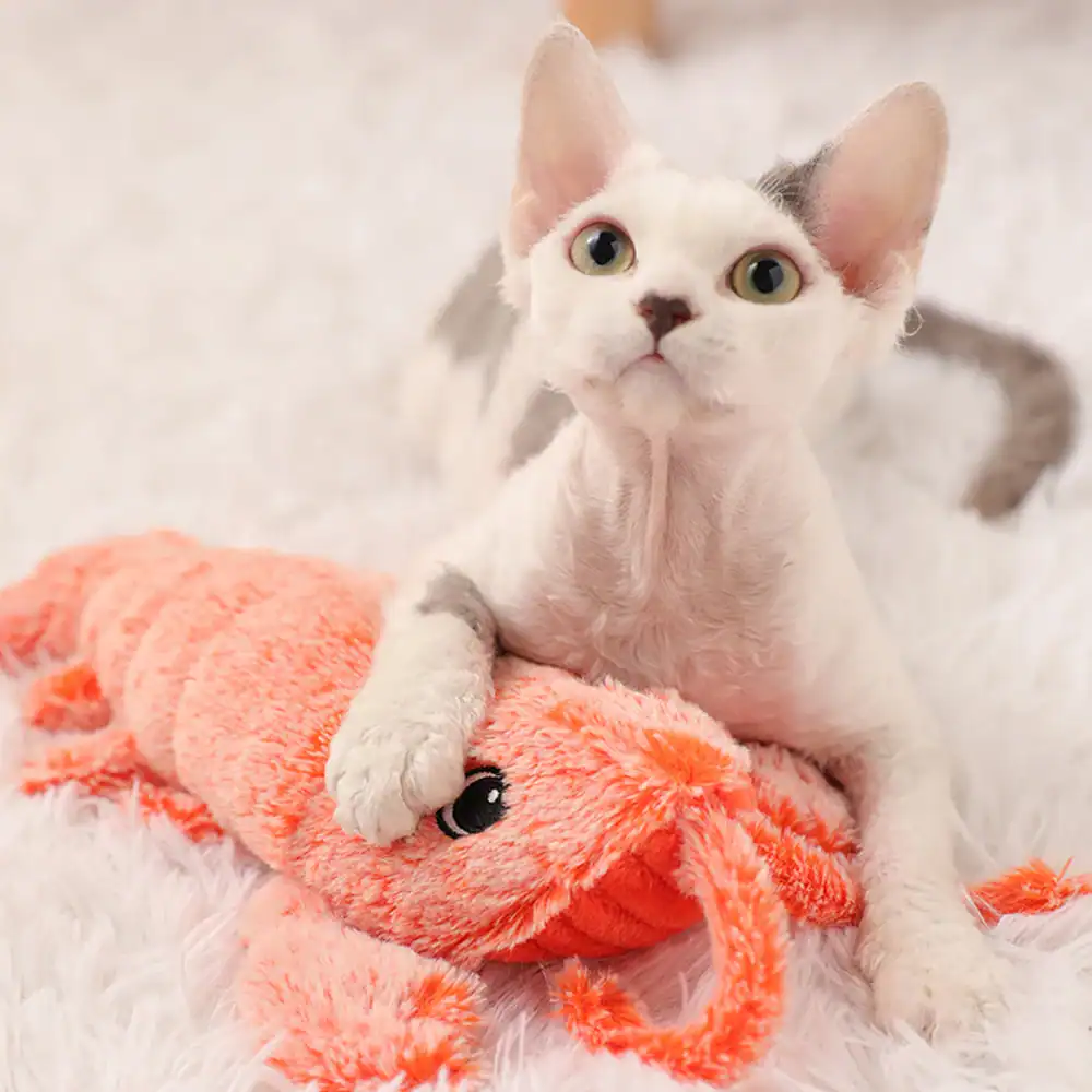 ALT text: Adorable white kitten with green eyes playing with an orange plush lobster toy on a soft white rug, highlighting pet care and accessories from Monalisa Store.