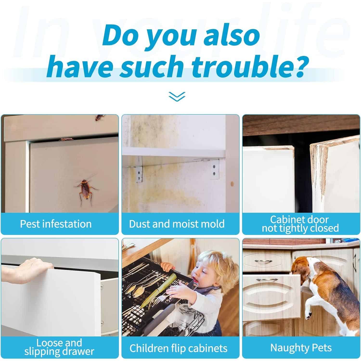 Efficient pest management, mold removal, and pet-proof solutions at Monalisa Medical Store. Expert services for pest infestation, mold issues, and protecting your household from naughty pets and damaged furniture.