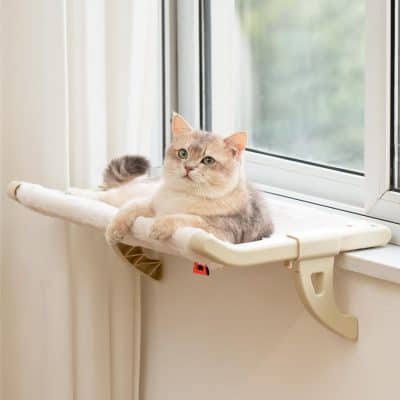 A cozy cat lounging on a plush window perch designed for feline relaxation and outdoor viewing, providing comfort for cats while they enjoy the sunlight and scenery.