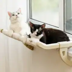 Adorable cats relaxing on a window perch at Monalisa Medical Store, showcasing pet accessories and feline comfort products available for pet owners.