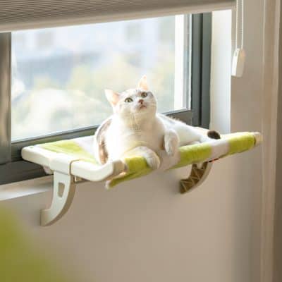 Adorable white and gray cat relaxing comfortably on a cozy cat window bed with green cushion, near a large window letting in natural light.