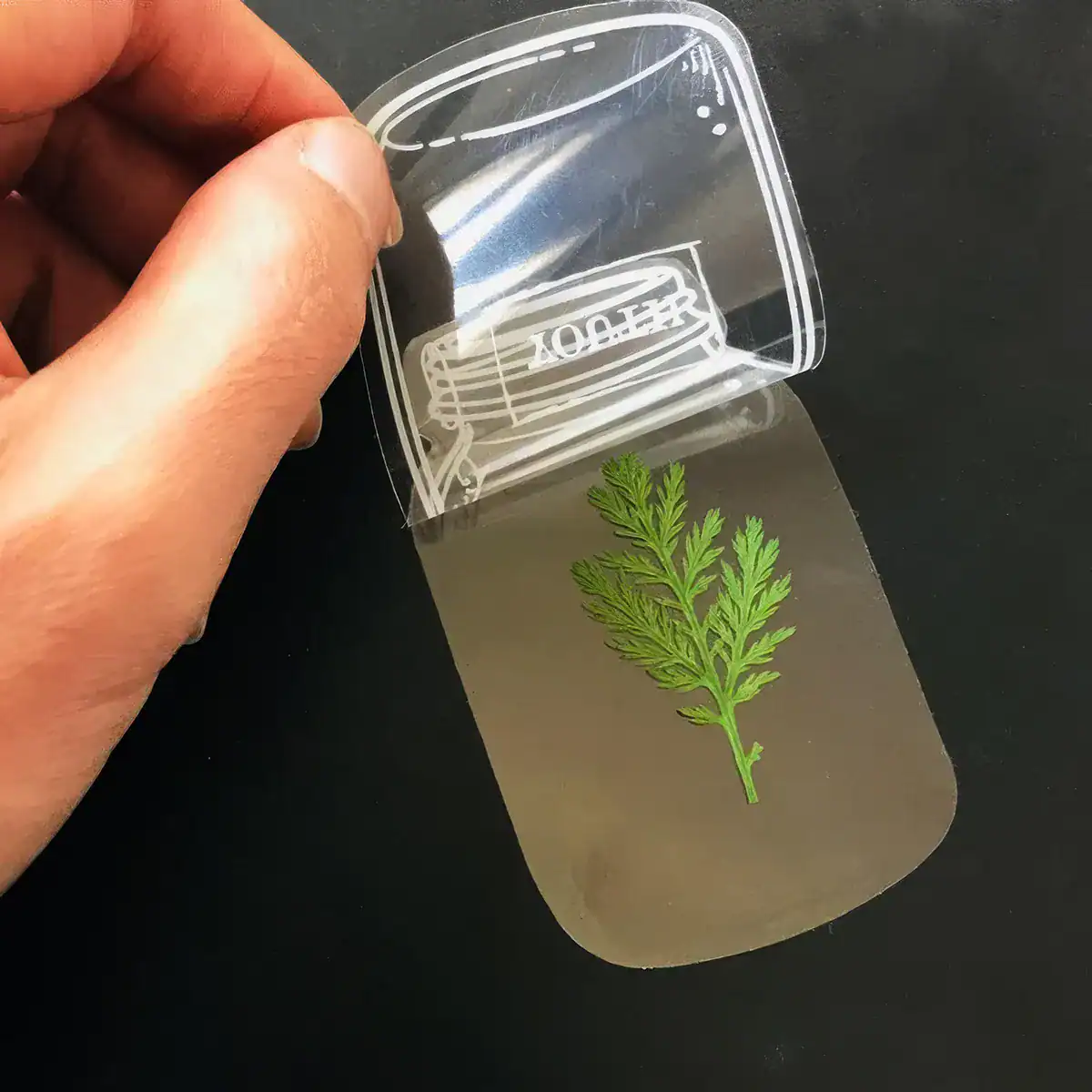 High-quality transparent adhesive sticker with a green botanical leaf design, perfect for customization and decoration. Suitable for medical, cosmetic, or aesthetic branding purposes.