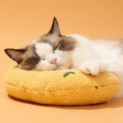 Alleviate stress with cozy, soft cat beds from Monalisa Store offering comfort and relaxation for your feline friends. Perfect for home or veterinary clinics.