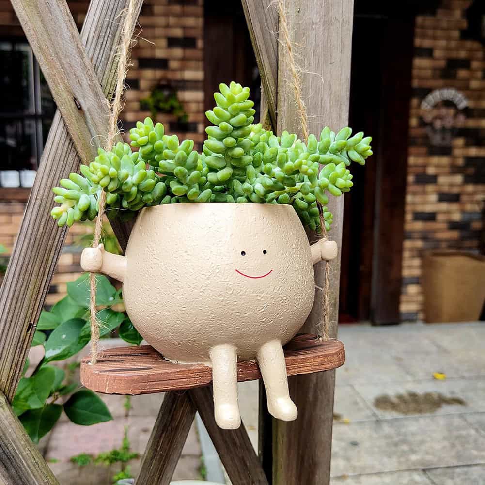 Bright and cheerful succulent in a playful smiling face pot, perfect for adding a fun, modern touch to your home or office indoor garden.