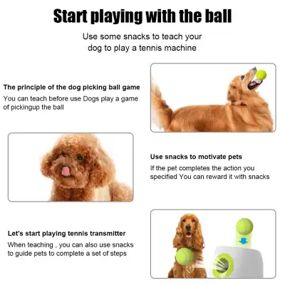 Dog tennis training ball, dog toy tennis ball, pet training equipment for dogs, interactive tennis ball for pets, dog sports toy.