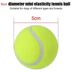 Bright yellow mini tennis ball for dogs, 5cm diameter, perfect for interactive play and exercise, non-slip surface, durable rubber material, suitable for puppies and small breeds.