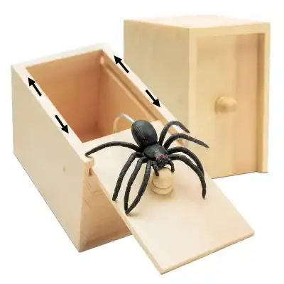 A close-up of a wooden pest trap container with a lid, designed for trapping spiders and insects. Perfect for use in homes or gardens to maintain a clean, pest-free space.