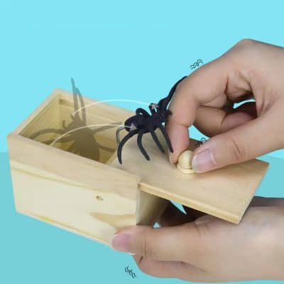 Realistic spider insect trap for home, office, or garden use, made of wood with a transparent cover for pest control. Organic and safe insect trap, ideal for preventing unwanted bugs or spiders.
