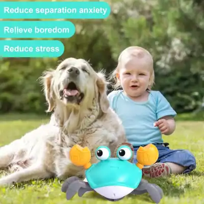 Brightly colored crab-shaped toy with googly eyes, designed for children to reduce separation anxiety, relieve boredom, and reduce stress during outdoor play.