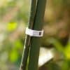 Close-up of a plant tie, securing bamboo stalks with a white plastic fastener, promoting healthy growth and preventing damage in outdoor gardening environments.