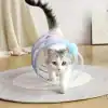 Cute cat exploring transparent pet tunnel with blue pom-pom, perfect for indoor pet entertainment and enrichment, from Monalisa Store.