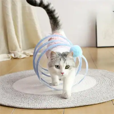 Cute cat exploring transparent pet tunnel with blue pom-pom, perfect for indoor pet entertainment and enrichment, from Monalisa Store.