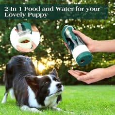 Automatic Dog Food and Water Dispenser for Pet Convenience.