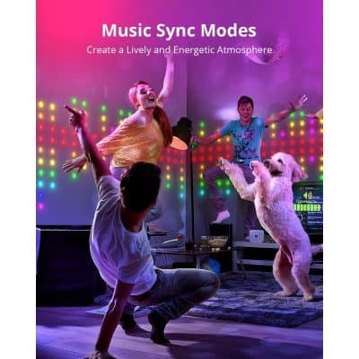 A lively indoor party scene with people dancing and a dog enjoying the entertainment under colorful LED lights at Monalisa Medical Store.