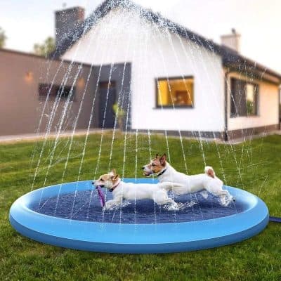Opt outdoor dog water fountain for pets, with splash-proof design and easy setup, perfect for active dogs to stay cool and hydrated during summer.