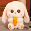 Adorable bunny plush toy holding a bright orange carrot, perfect for children and collectors. Soft, cuddly, and high-quality plush material, making it a delightful gift and decorative item.