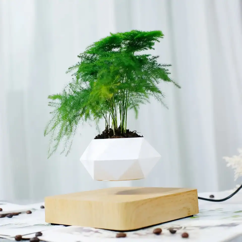Aesthetic air-purifying plant in geometric white pot with wooden base, ideal for modern indoor decor and enhancing mental well-being. Perfect for offices and homes.