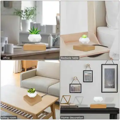 Modern succulent in geometric white pot, enhancing interior design in office, bedside table, sitting room, or home decor for a stylish, natural touch.