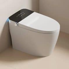 Smart bidet toilet with advanced hygiene features, sleek design, and touch control panel for optimal comfort and sanitation in modern bathrooms.