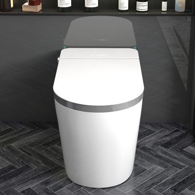 A modern smart toilet with bidet features, sleek design, and advanced washing technology for enhanced hygiene and comfort. Perfect for high-end bathroom needs.