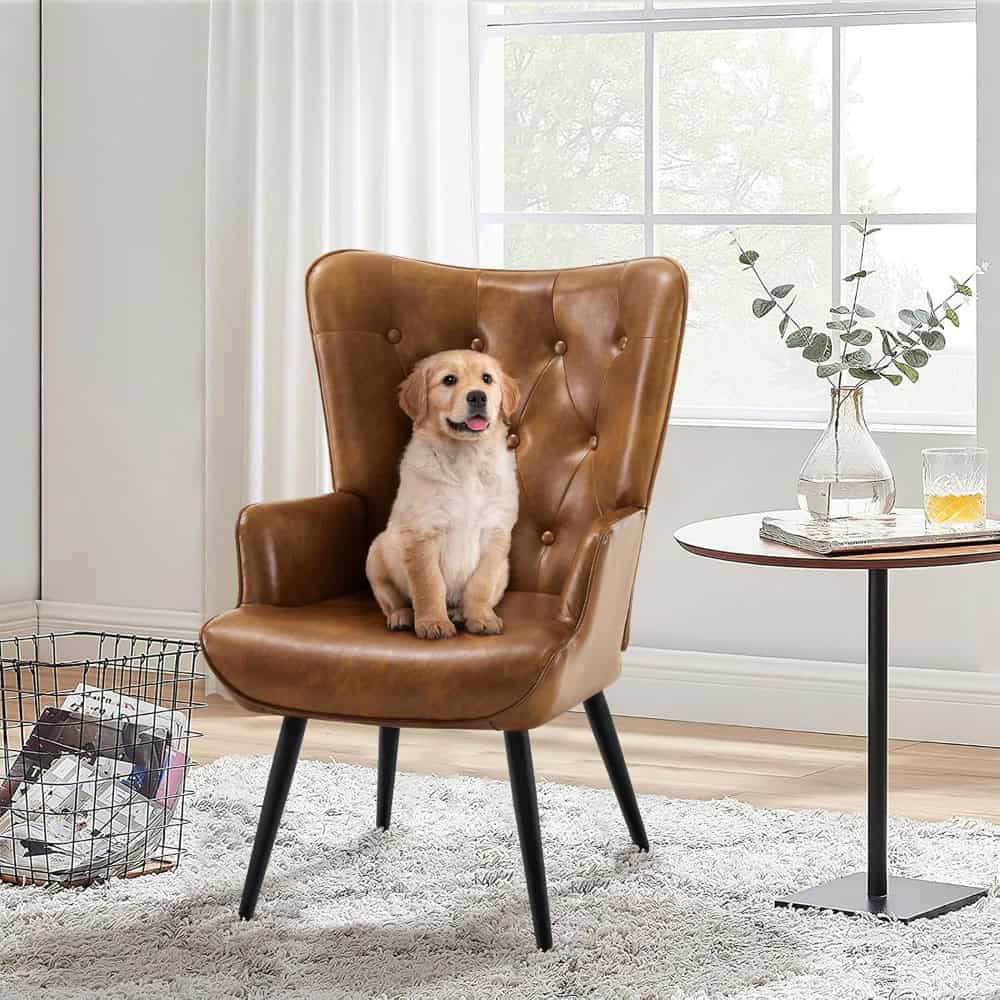 Dog sitting in stylish leather armchair near a window, modern home decor, natural sunlight, with a side table, plant, and glass of water, ideal for pet-friendly furniture suggestions.