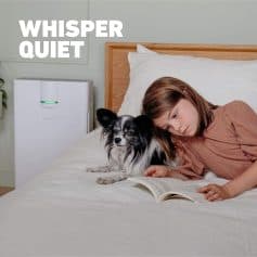 Quiet air purifier for peaceful sleep and healthy living at Monalisa Store, ideal for homes and pet owners, providing clean, whisper-quiet air.