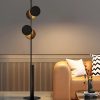 Modern black and gold floor lamp in stylish living room setting.