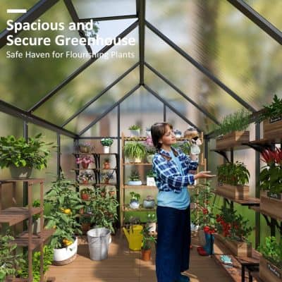 Vibrant greenhouse with diverse flowering and foliage plants for gardening enthusiasts, showcasing lush greenery and plant care at Monalisa Medical's plant store.
