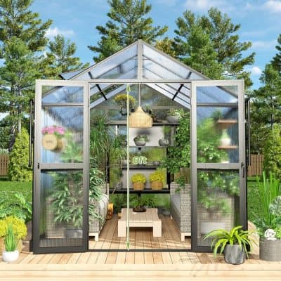 Versatile glass greenhouse with shelves and lush plants, perfect for gardening enthusiasts. Features durable materials, 6-foot height, and ample sunlight for thriving plant growth. Ideal for home or commercial use.