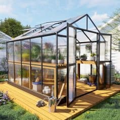 Bright modern greenhouse with glass panels and wooden deck for plant cultivation and gardening, perfect for home or commercial use.