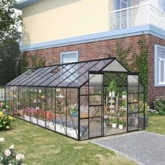 Greenhouse for gardening and plant care at Monalisa Medical Store, outdoor gardening greenhouse with glass panels, perfect for plant cultivation and protection, located next to modern residential house.