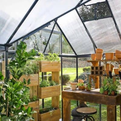 Lush greenery and potted plants inside a modern greenhouse, ideal for taking care of delicate plants and herbs; perfect for enhancing your gardening and plant care at Monalisa Store.