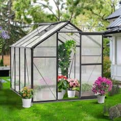 Bright glass greenhouse with black frame showcasing vibrant flowering plants and greenery for home gardening and plant care. Perfect for indoor and outdoor garden enthusiasts.