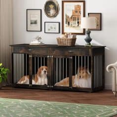 Dog crate with two dogs inside, wood cabinet with picture frames and decorative items in living room setting, pet furniture for home decor, Monalisa Store pet accessories and furniture, stylish pet crate for dogs.