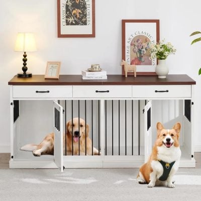 Pet crate with two dogs in a modern, stylish home interior, showcasing pet safety and comfort solutions from Monalisa Store.
