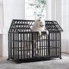 Dog sitting happily inside a black metal pet crate in a bright, modern home with large windows and white interior design.