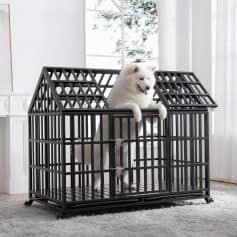 Dog sitting happily inside a black metal pet crate in a bright, modern home with large windows and white interior design.