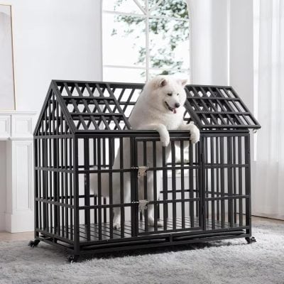 Dog sitting happily inside a black metal pet crate in a bright, modern home with large windows and white interior design.