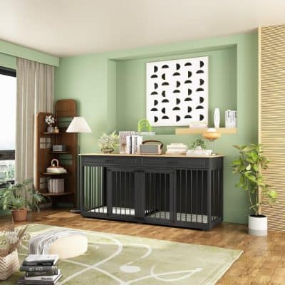 Stylish black multipurpose storage cabinet in a modern living room with decorative items, plants, and artwork, ideal for home organization and interior decor.