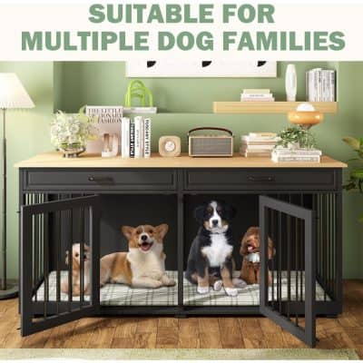 Modern dog crate with multiple puppies, black metal design, suitable for pet families, in a stylish home decor setting.