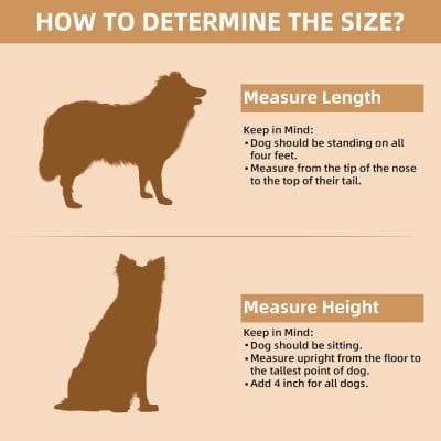 Stylish dog clothing at Monalisa Store, perfect for sizing guide and comfortable fit for dogs of all breeds. Shop quality pet accessories and apparel online now.